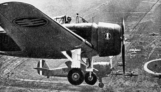 A Bergamaschi (Caproni) A.P.I. This low-wing monoplane