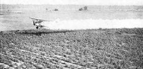 Aeroplane applying calcium arsenate powder to cotton plants