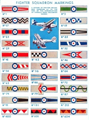 Fighter squadron markings