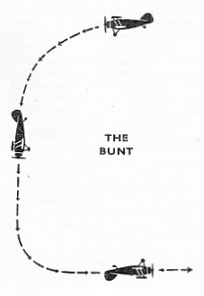 the bunt