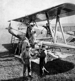 POISONOUS POWDER was distributed from an aeroplane over a forest near Wittstock when the forest was threatened with destruction by a plague of caterpillars