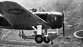 A Bergamaschi (Caproni) A.P.I. This low-wing monoplane