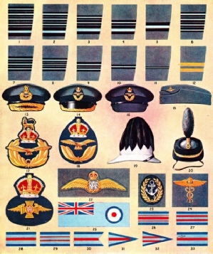 Ranks badges and flags of the RAF