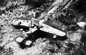 The overturned machine of Brig.-Gen. Lewin, in the Nile swamps