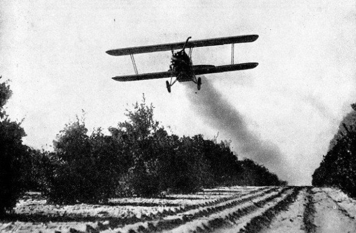 TREES BEING DUSTED with insecticide chemicals in California