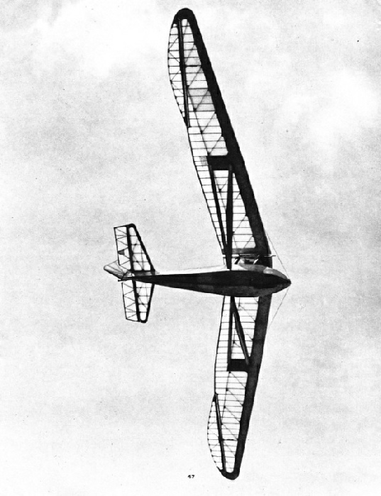 A sailplane in flight